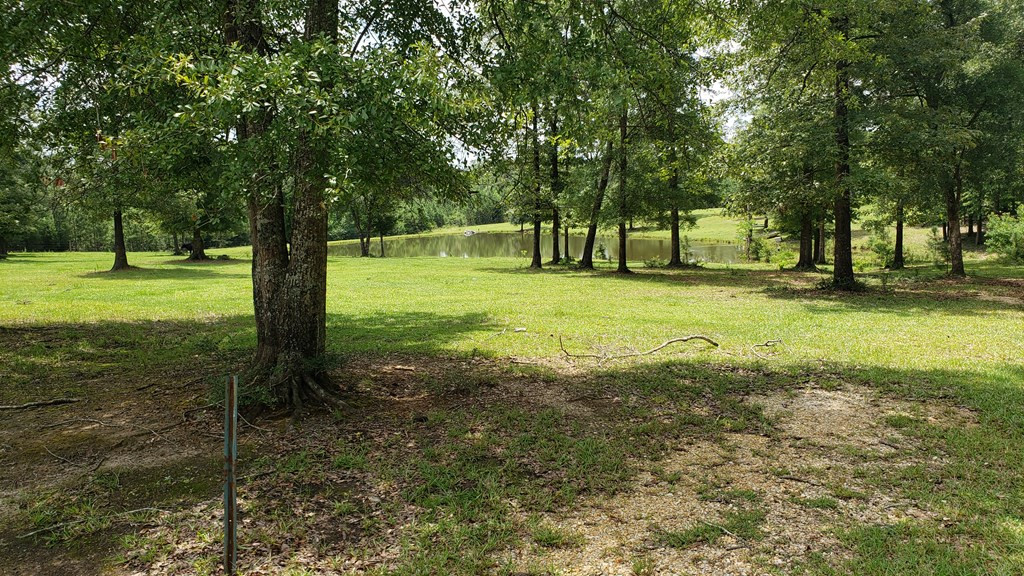 271 A Ed Taylor Road Tylertown, MS 39667 - Photo 30 of 72 Photo 30