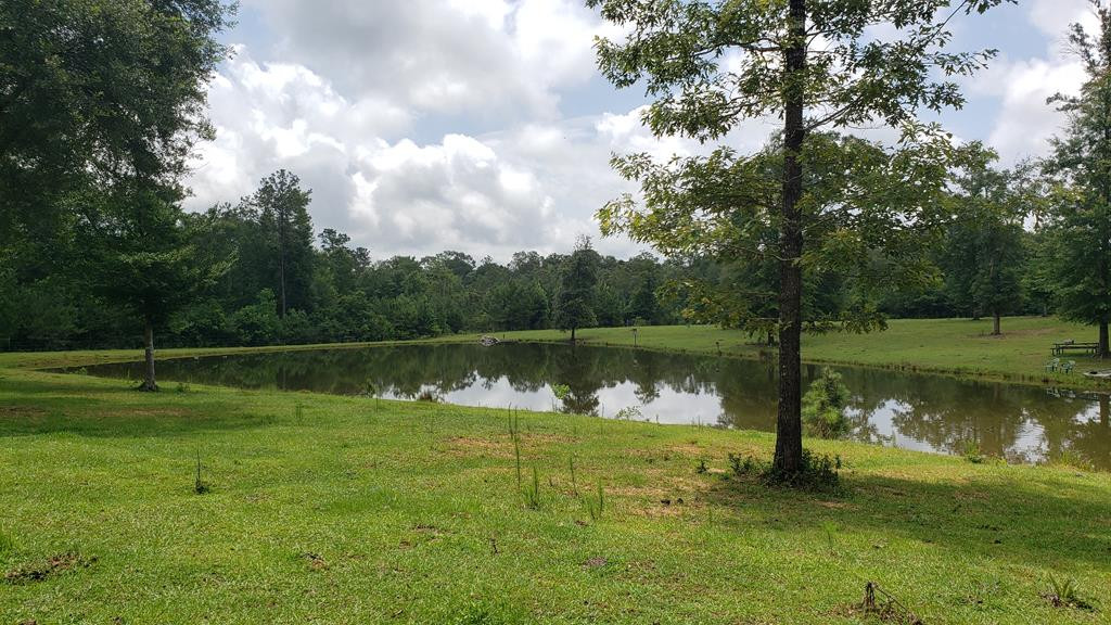 271 A Ed Taylor Road Tylertown, MS 39667 - Photo 34 of 72 Photo 34