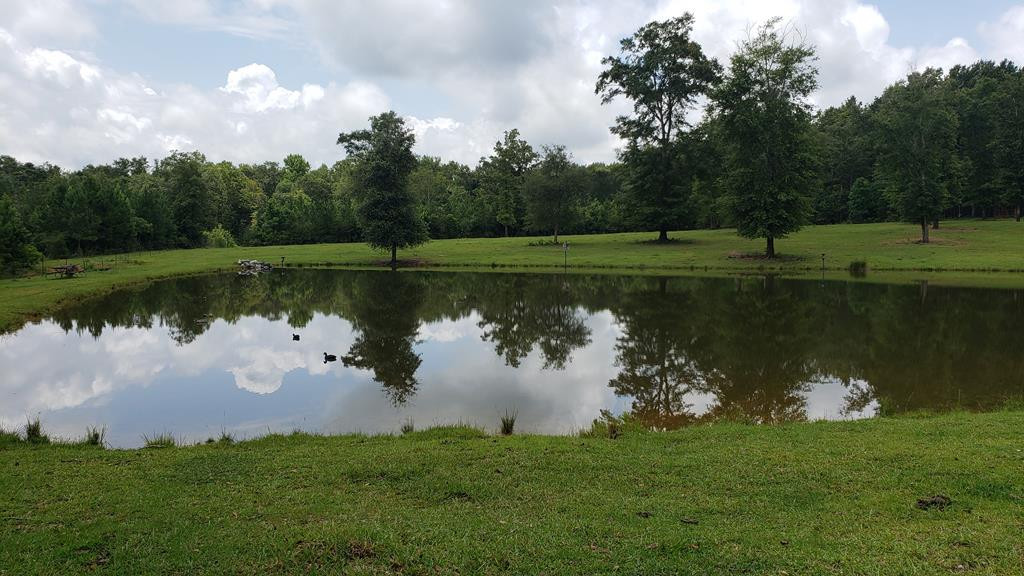 271 A Ed Taylor Road Tylertown, MS 39667 - Photo 36 of 72 Photo 36