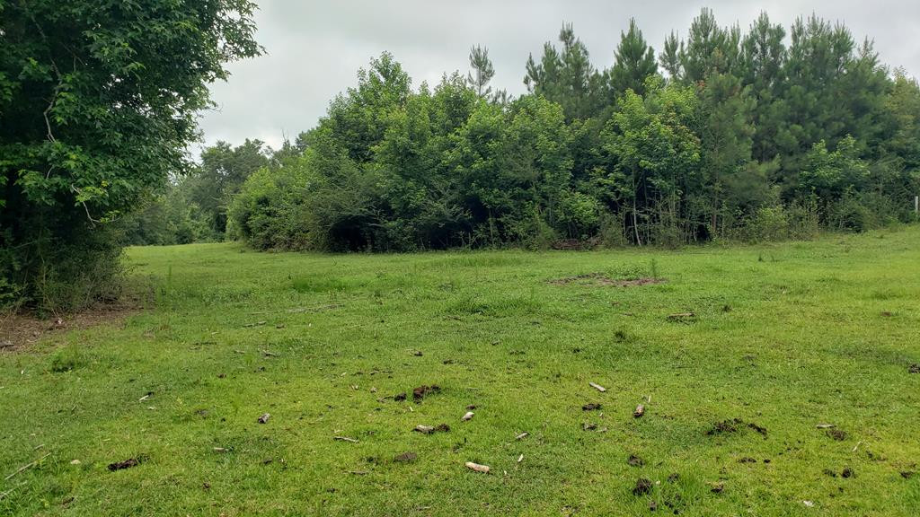 271 A Ed Taylor Road Tylertown, MS 39667 - Photo 39 of 72 Photo 39