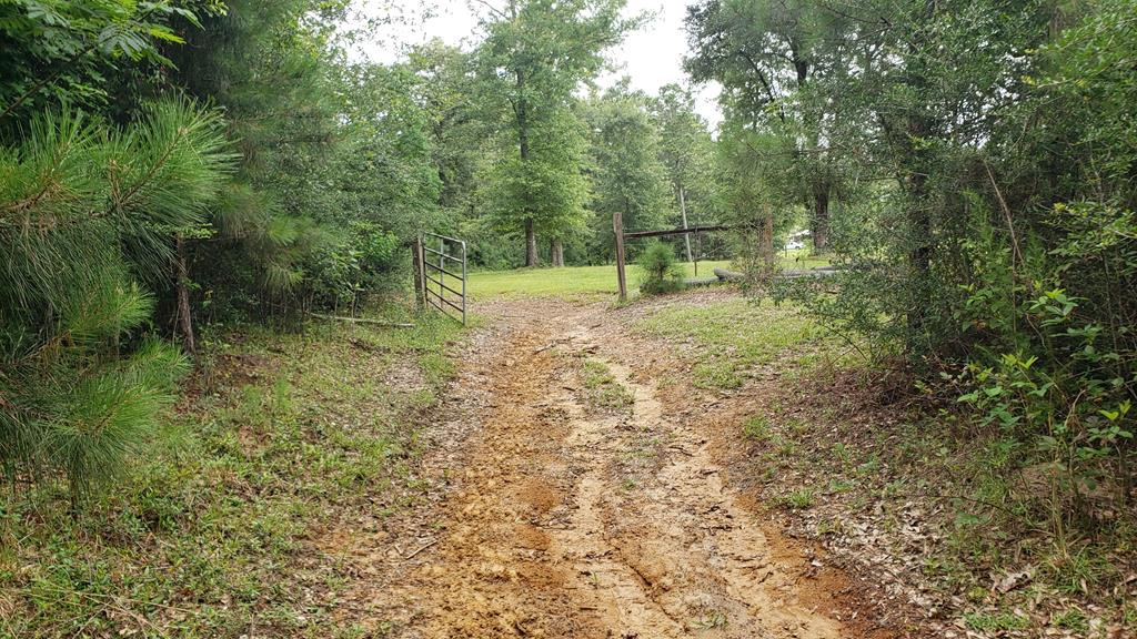 271 A Ed Taylor Road Tylertown, MS 39667 - Photo 50 of 72 Photo 51