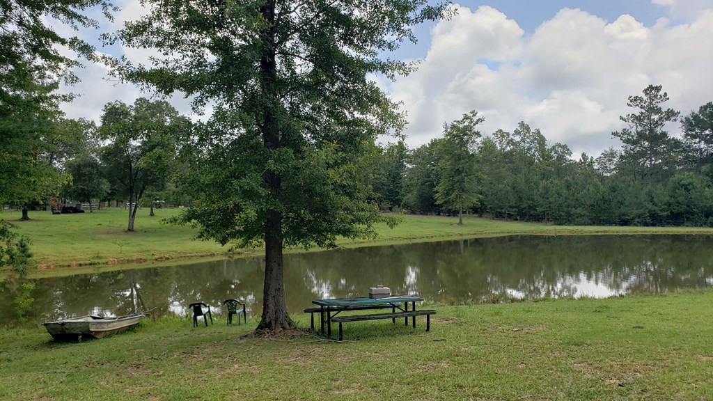 271 A Ed Taylor Road Tylertown, MS 39667 - Photo 7 of 72 Photo 7