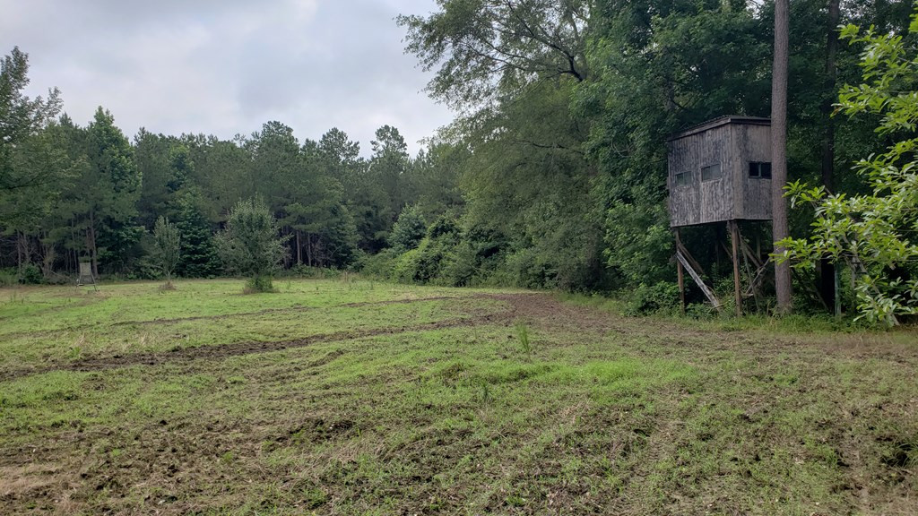 271 A Ed Taylor Road Tylertown, MS 39667 - Photo 9 of 72 Photo 9