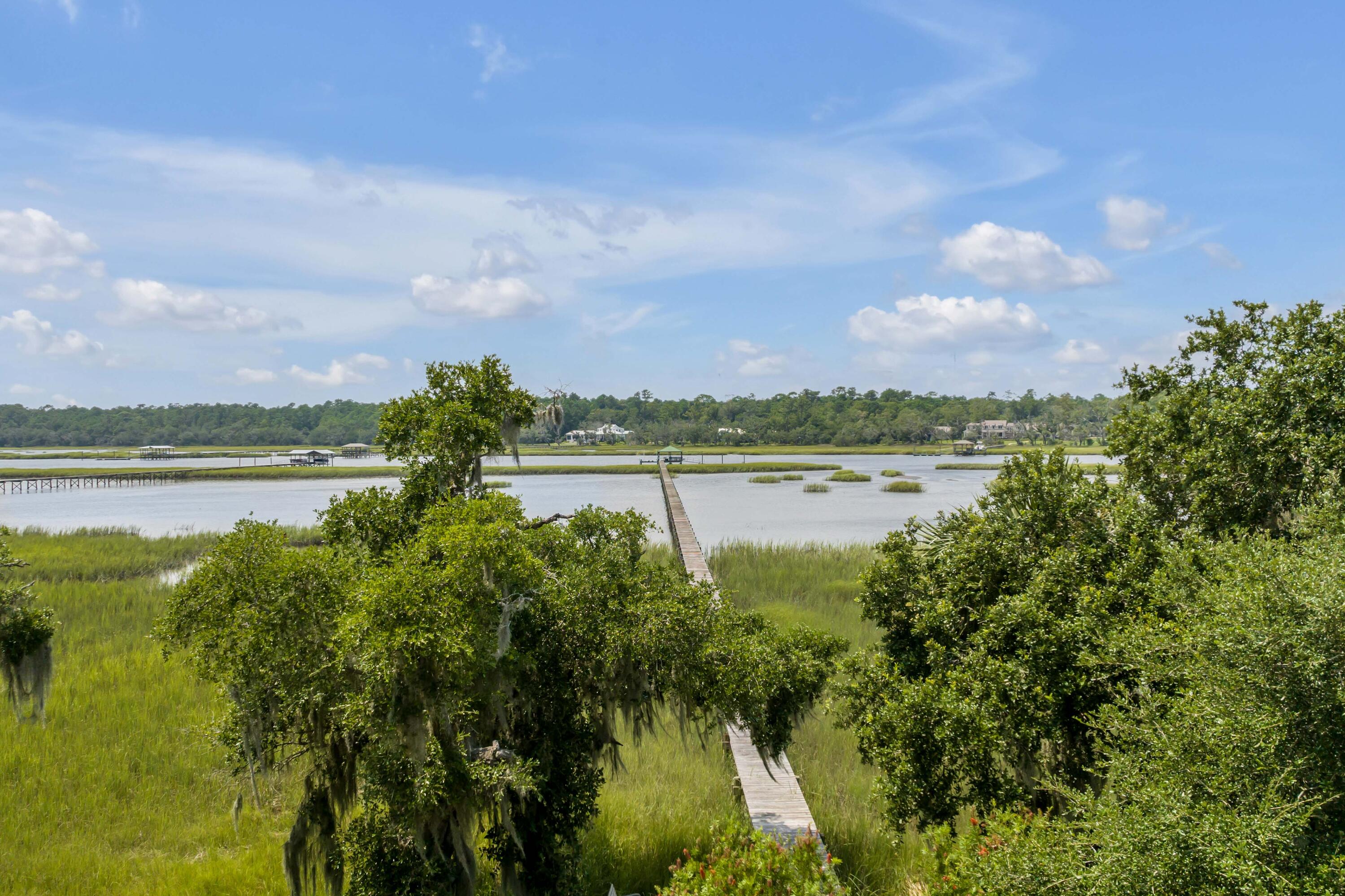 3388 Bohicket Road Johns Island, SC 29455 - Photo 93 of 100 104