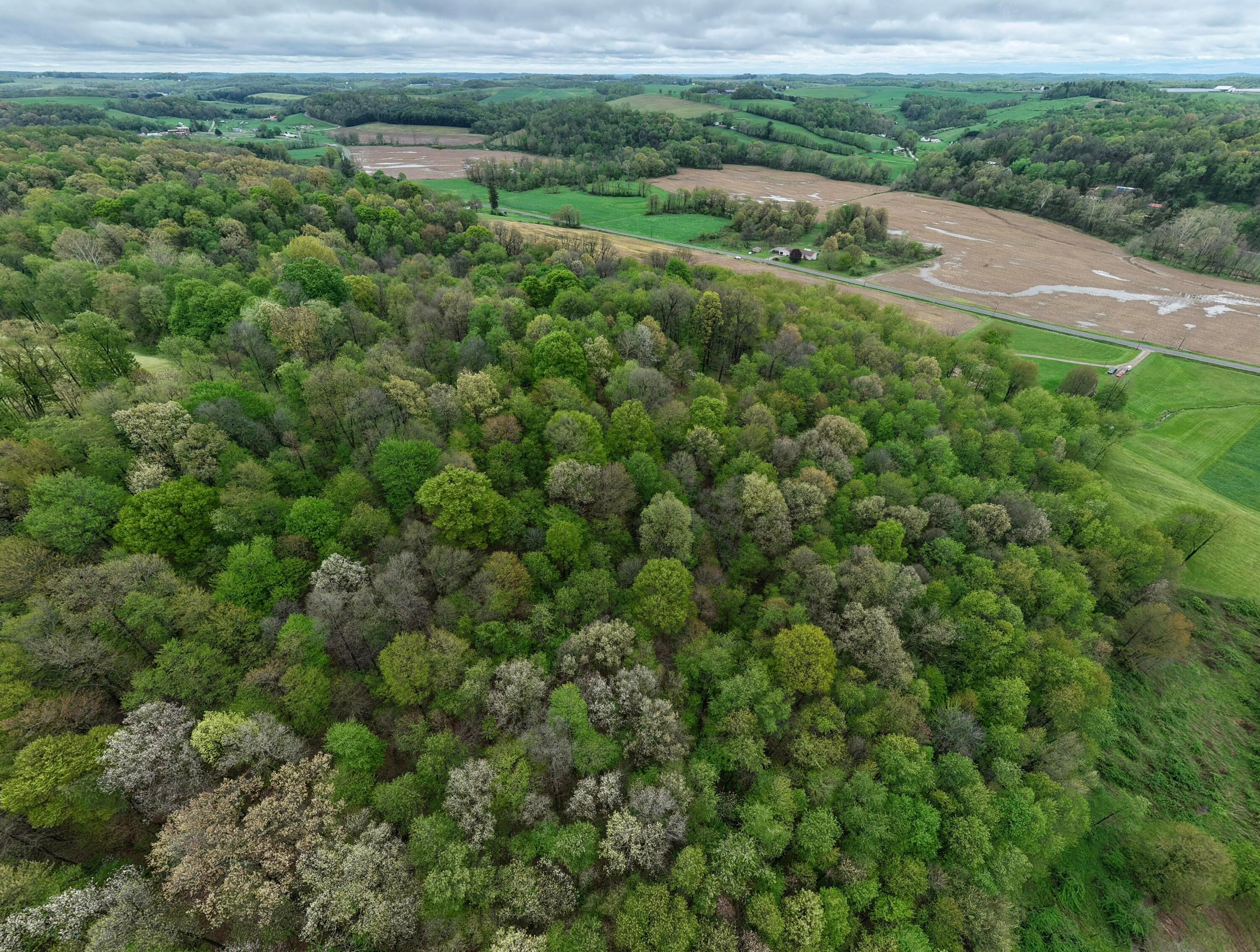 0 State Route 79 Warsaw, OH 43844 - Photo 5 of 27 DJI_20250504115046_0084_D