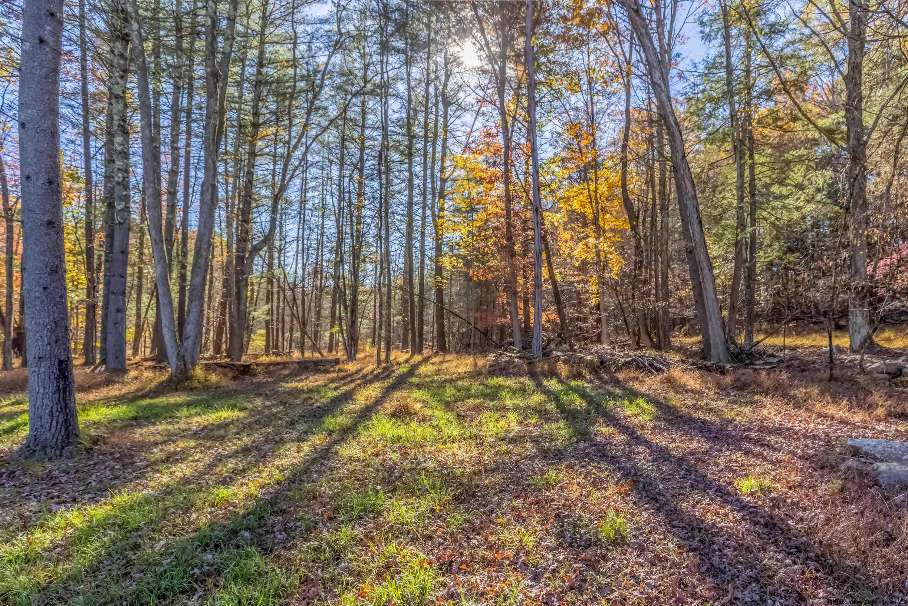 48 Ginger Road High Falls, NY 12440 - Photo 33 of 35 Photo 33