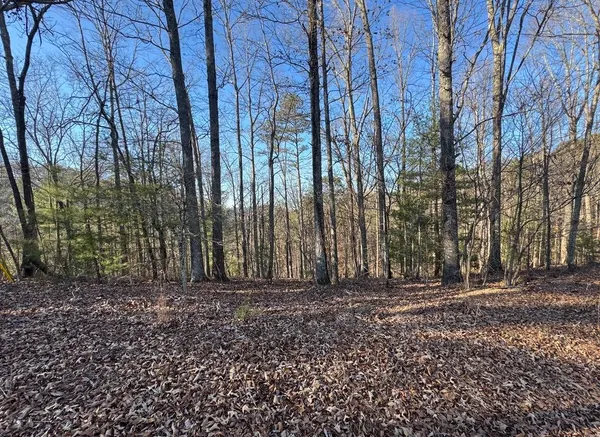 a view of outdoor space with trees