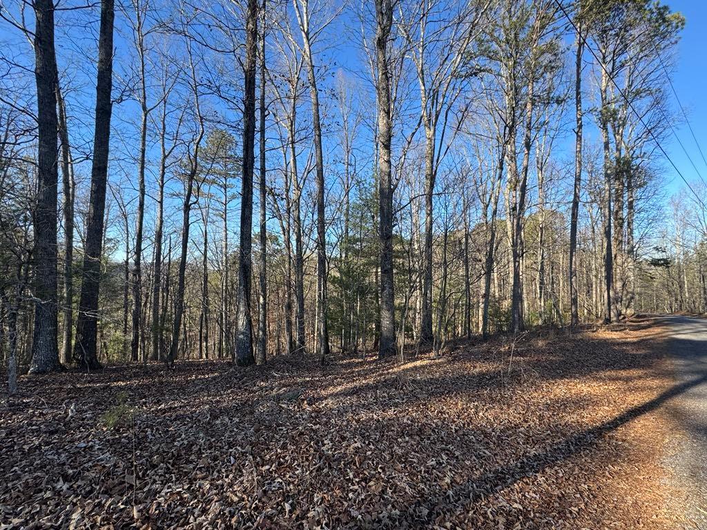 0 Rebekah Ridge Talking Rock, GA 30175 - Photo 2 of 8