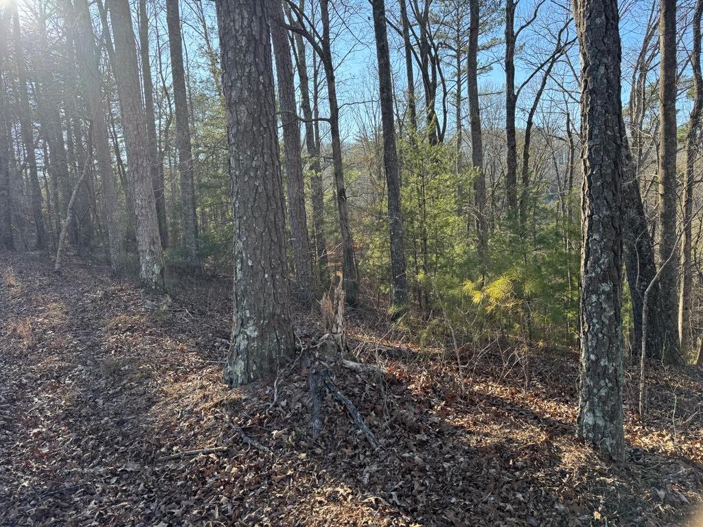 0 Rebekah Ridge Talking Rock, GA 30175 - Photo 3 of 8