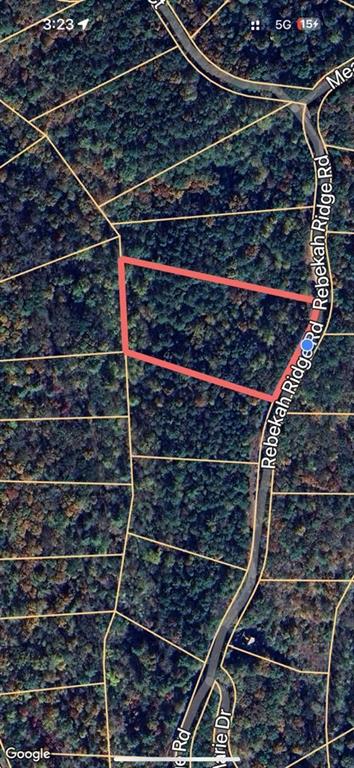 0 Rebekah Ridge Talking Rock, GA 30175 - Photo 4 of 8