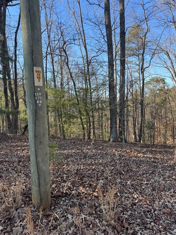 0 Rebekah Ridge Talking Rock, GA 30175 - Photo 5 of 8