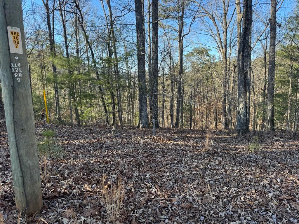 0 Rebekah Ridge Talking Rock, GA 30175 - Photo 6 of 8