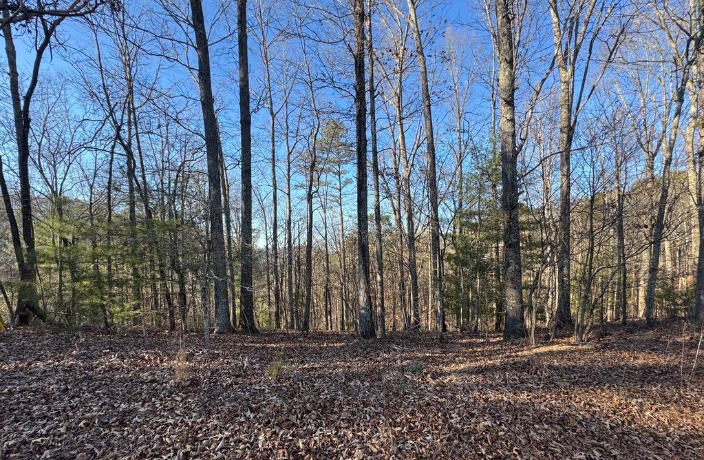 0 Rebekah Ridge Talking Rock, GA 30175 - Photo 7 of 8