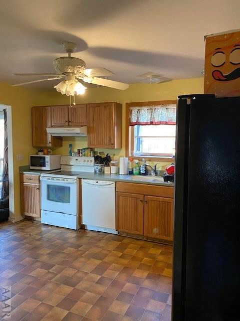 460 Williams Loop Road Roper, NC 27970 - Photo 7 of 19
