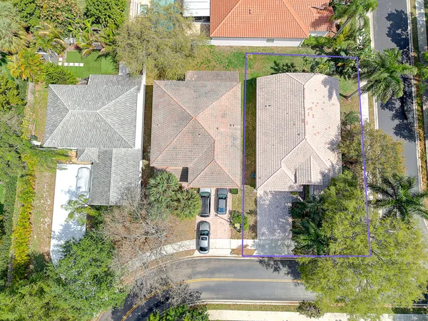 a view of a backyard with plants