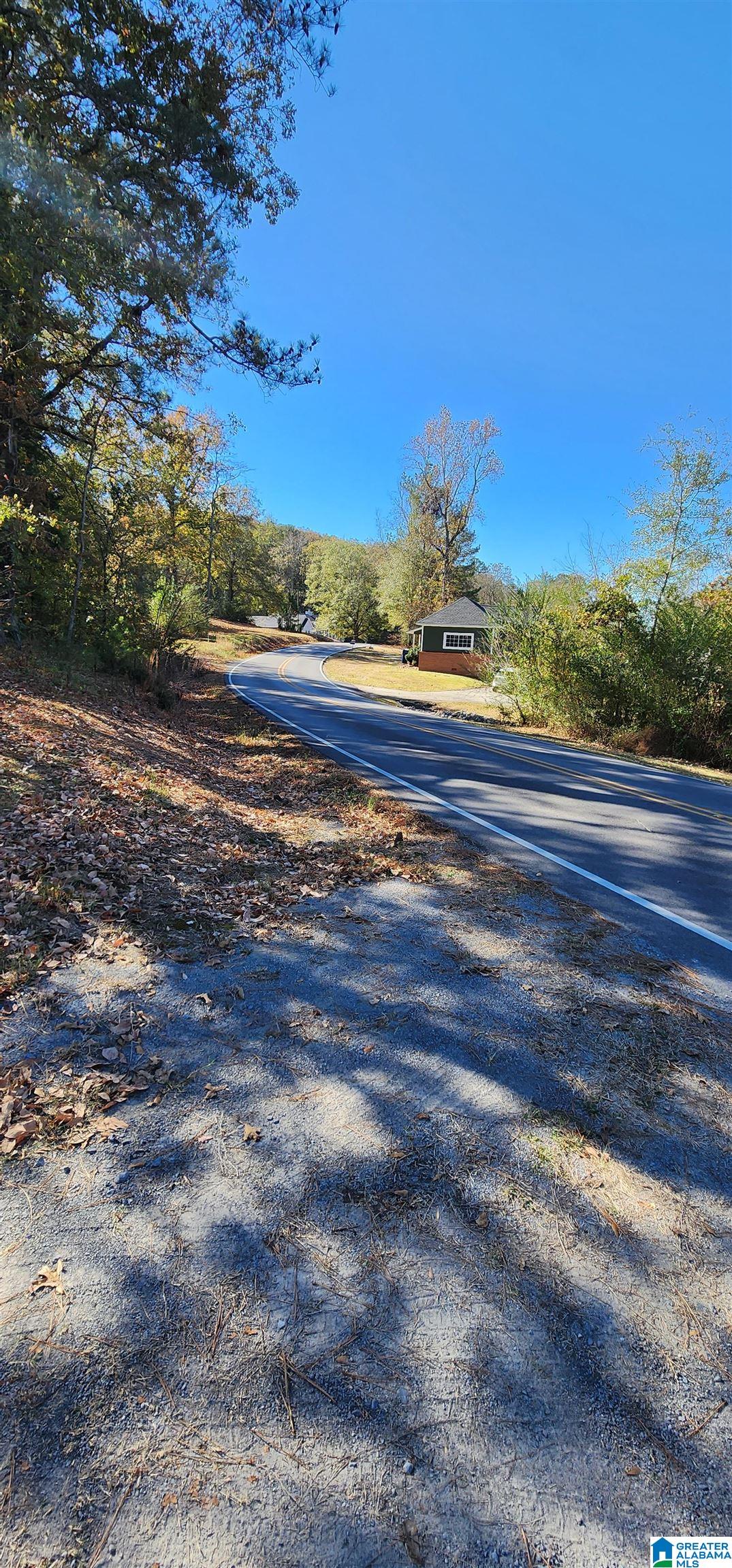 2441 Springville Boulevard Oneonta, AL 35121 - Photo 14 of 36 Gallery Image 14