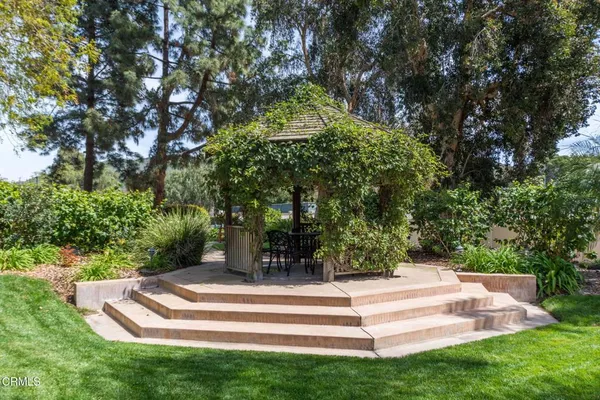 a view of garden with trees