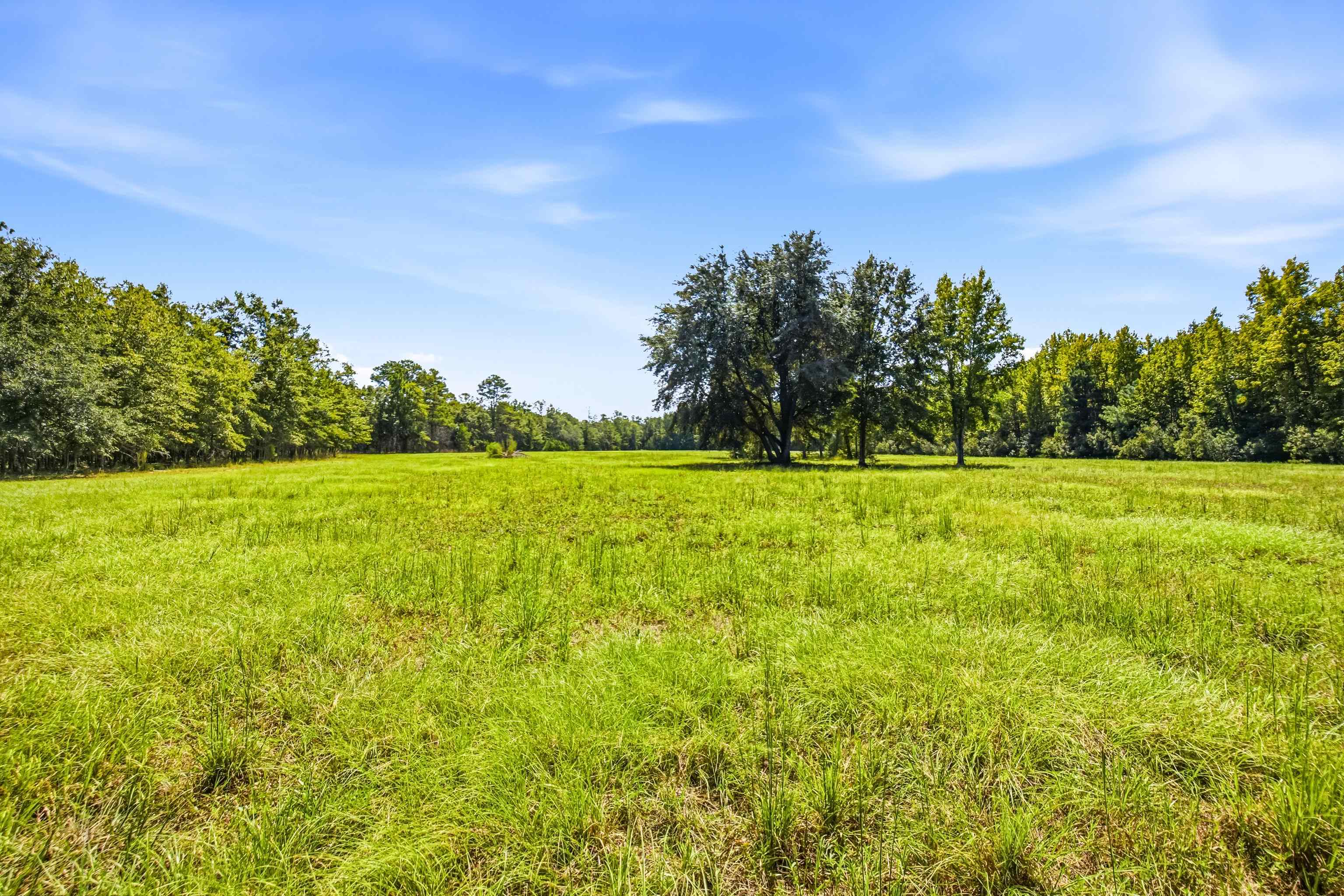 1569 Dave Plowden Pond Road Manning, SC 29102 - Photo 85 of 92 Gallery Image 85