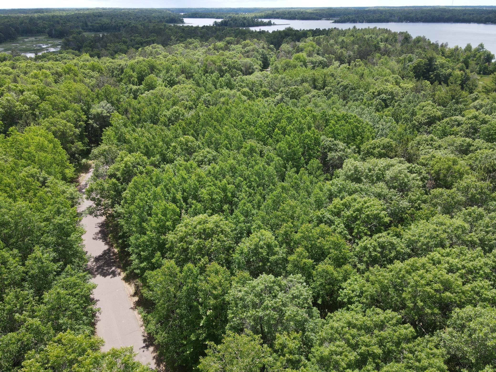 Lot 14 Loon Lake Road Danbury, WI 54830 - Photo 4 of 16