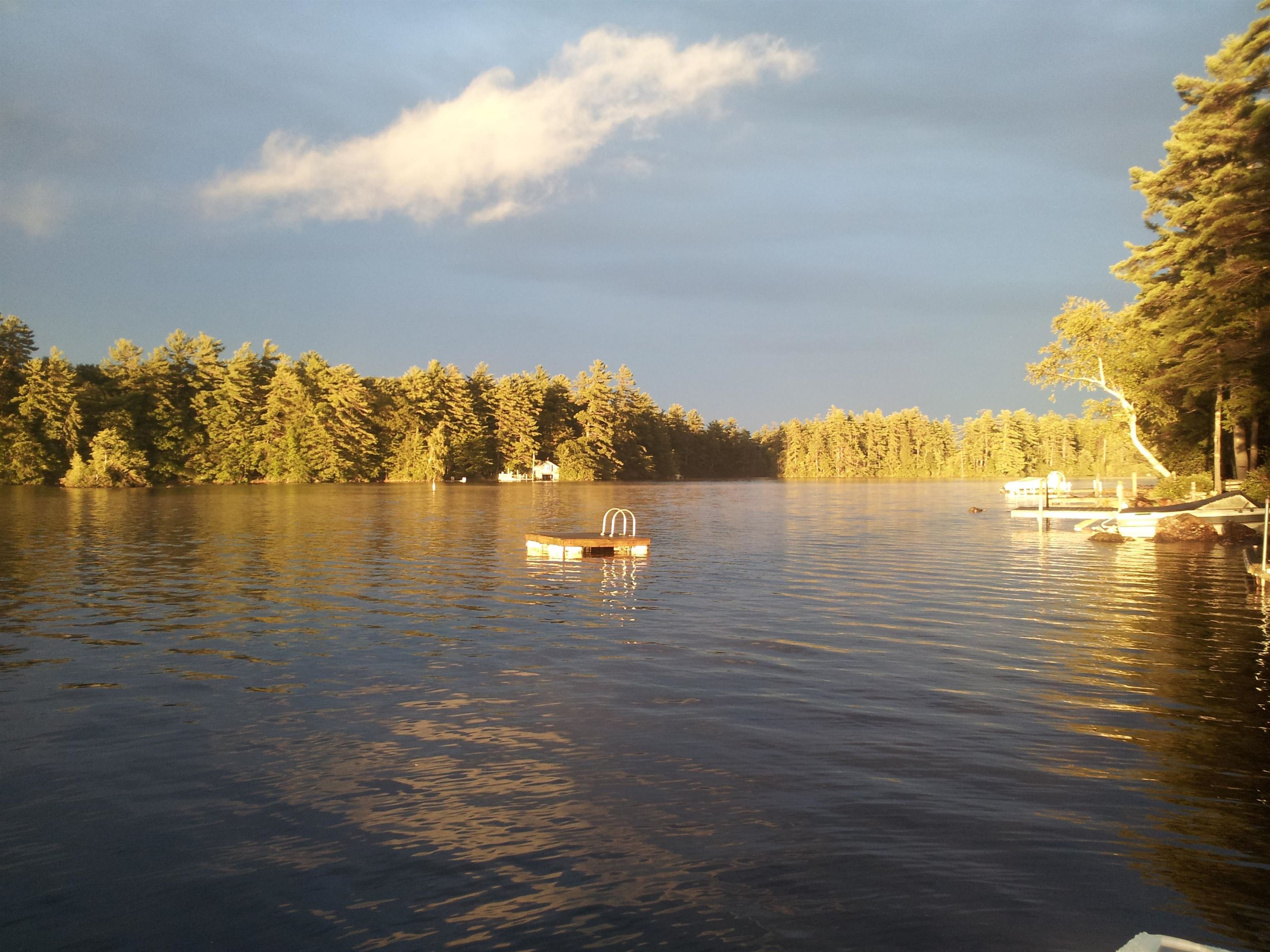 223 Browns Pasture Road Strafford, NH 03884 - Photo 23 of 24 Gallery Image 23