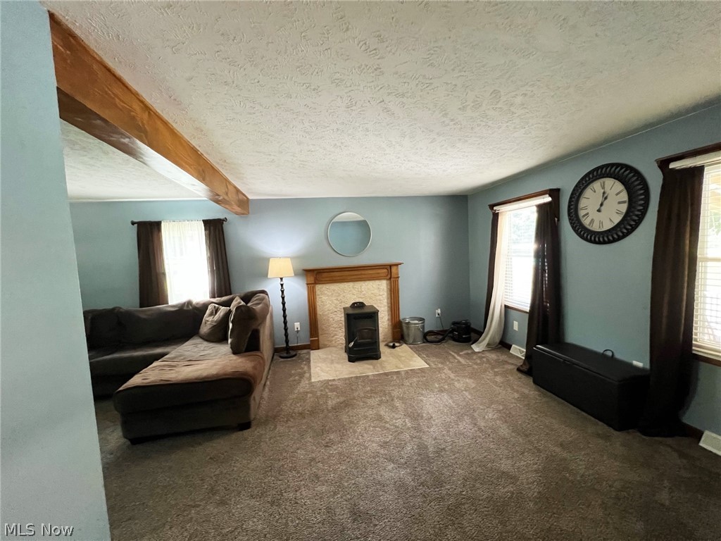 6434 Ledge Road Thompson, OH 44086 - Photo 7 of 34 Pellet stove will keep things cozy.