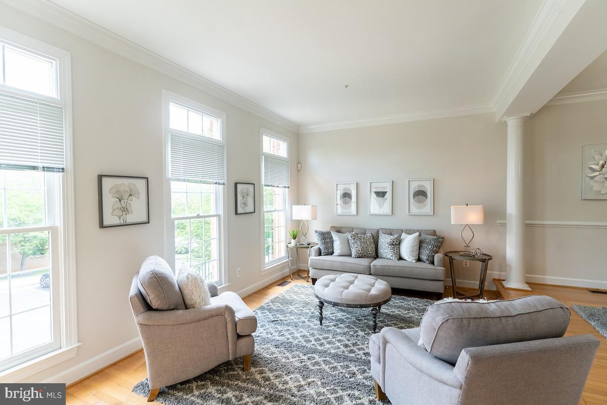 8506 Bells Ridge Terrace Potomac, MD 20854 - Photo 3 of 24 Bright and sunny Living Room
