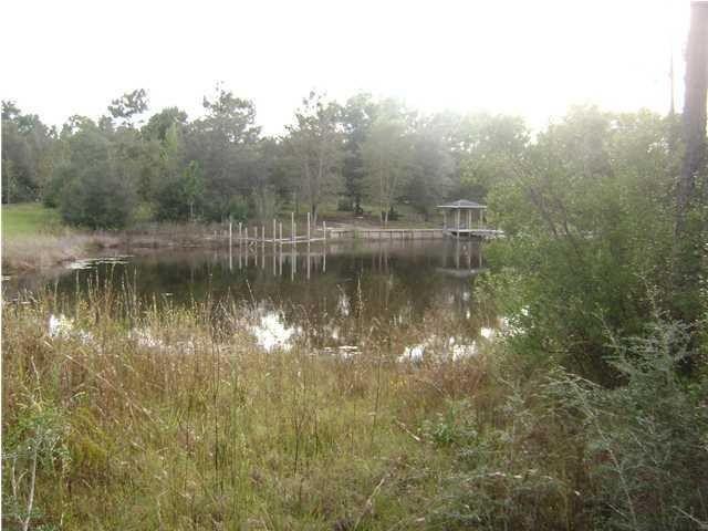 1325 Martin Road DeFuniak Springs, FL 32433 - Photo 9 of 13 Weekley Lake View before clearing