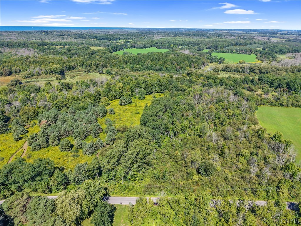 Henderson Road Sandy Creek, NY 13145 - Photo 3 of 17 Gallery Image 3