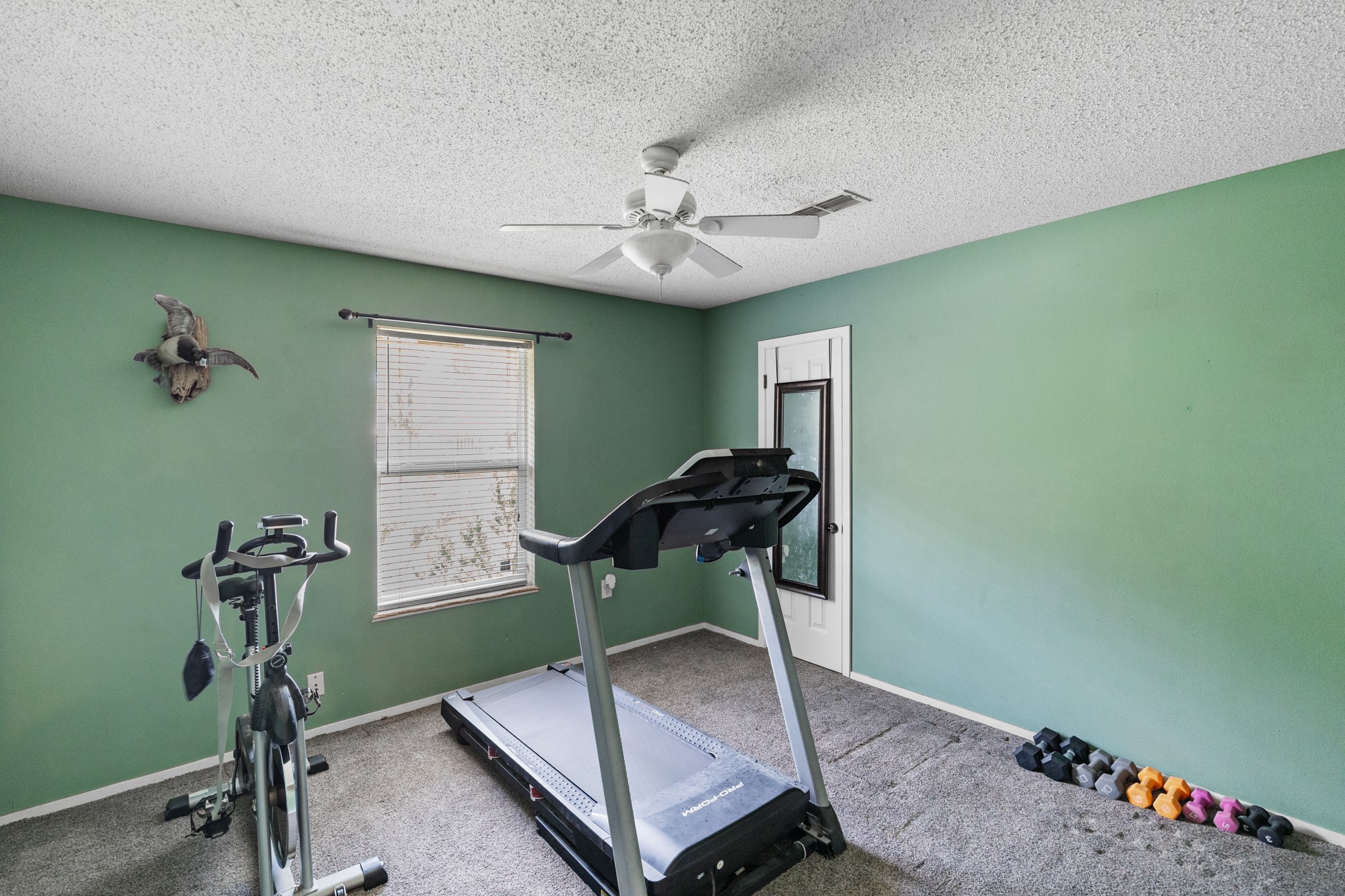 1003 Virginia Street Edna, TX 77957 - Photo 14 of 30 a room with musical instruments