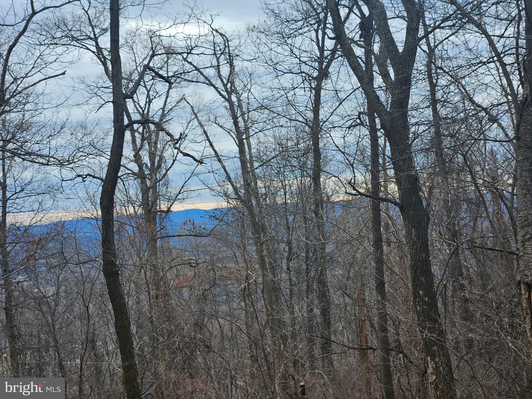19701 Foresthill Road Bluemont, VA 20135 - Photo 3 of 49 views