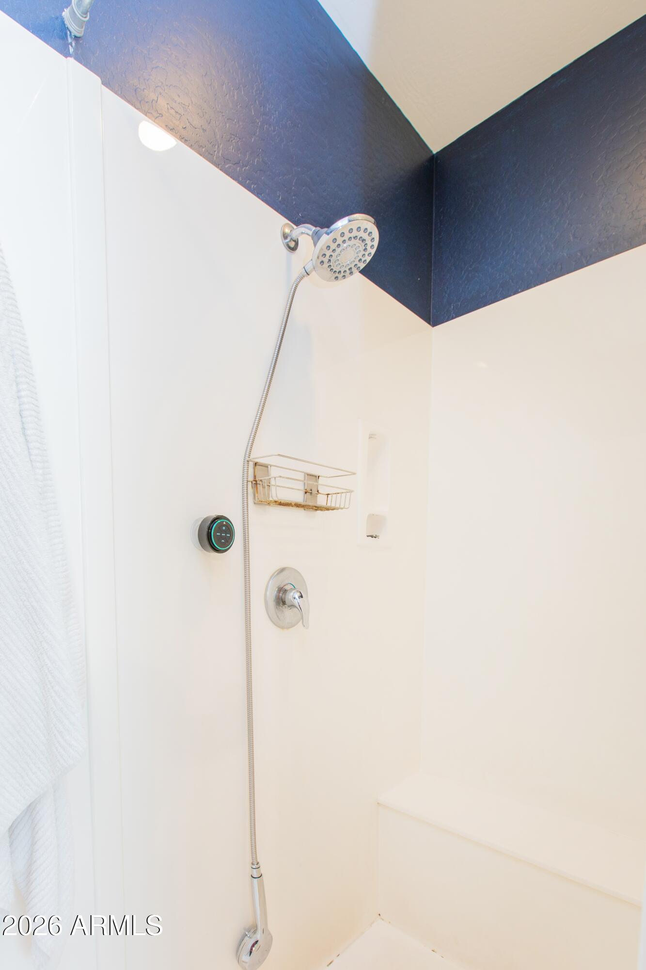 2024 West Rains Way San Tan Valley, AZ 85144 - Photo 40 of 71 PriShwr