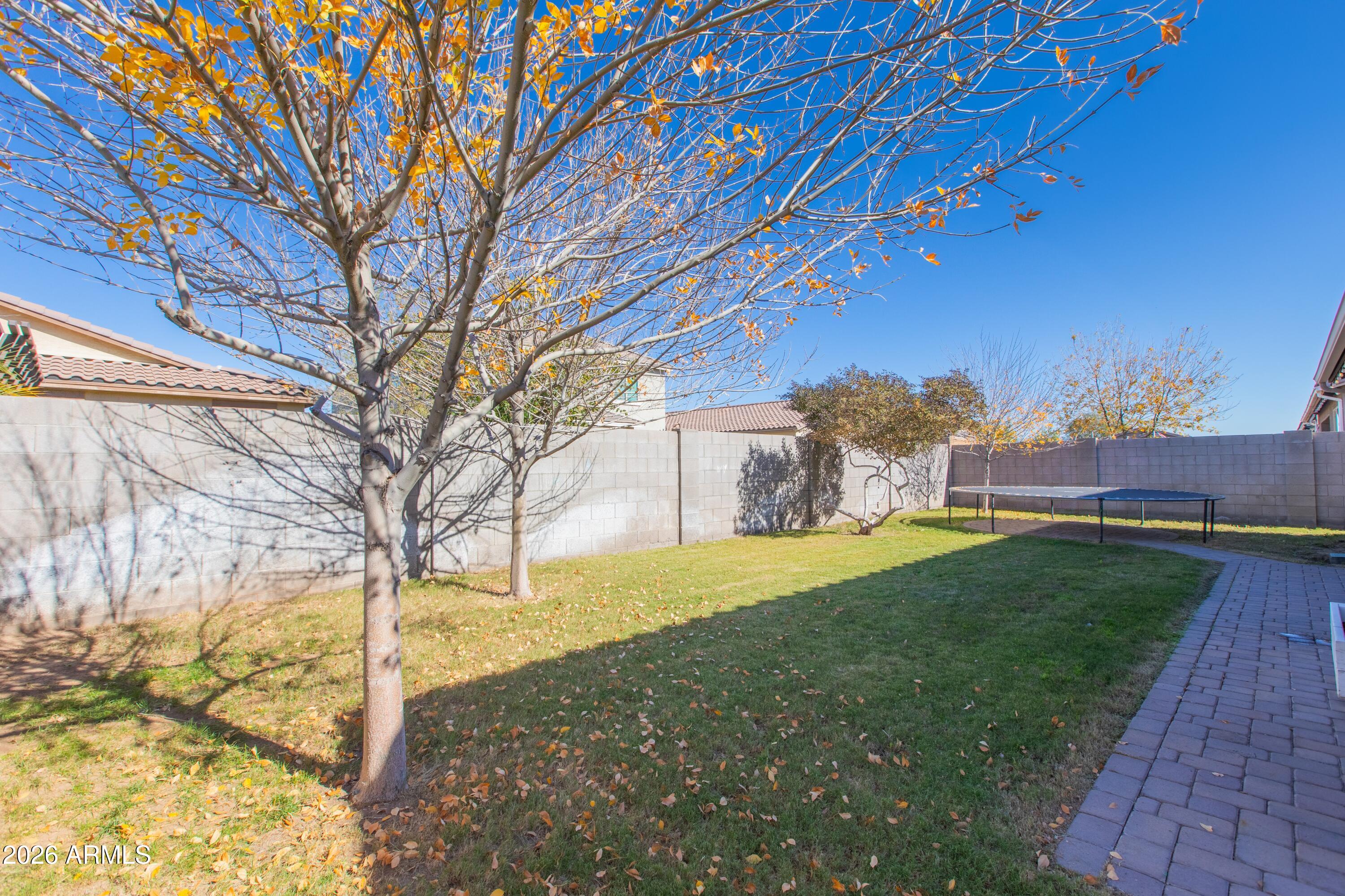 2024 West Rains Way San Tan Valley, AZ 85144 - Photo 67 of 71 BckYd-4