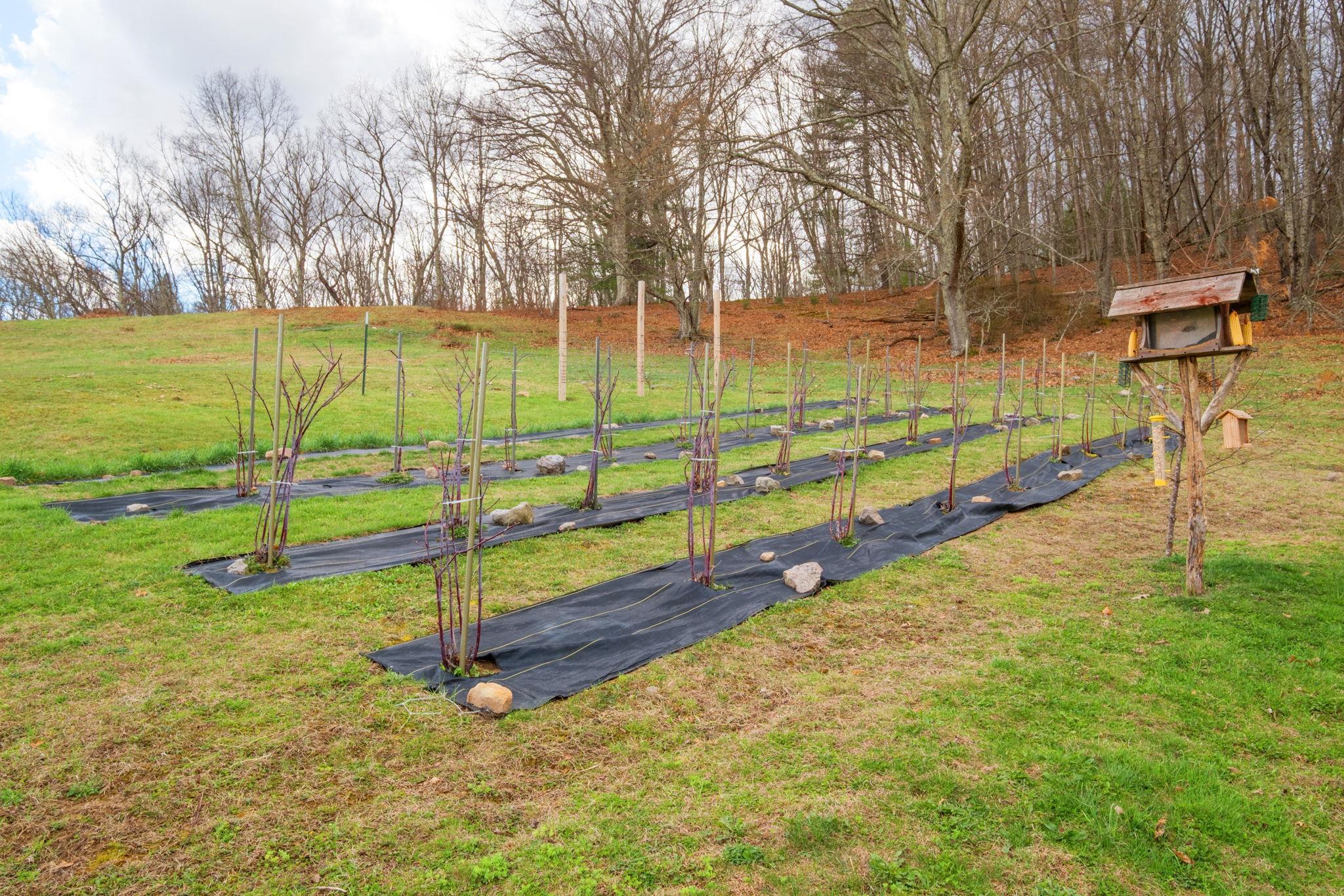 3356 Jackson River Road Monterey, VA 24465 - Photo 45 of 70