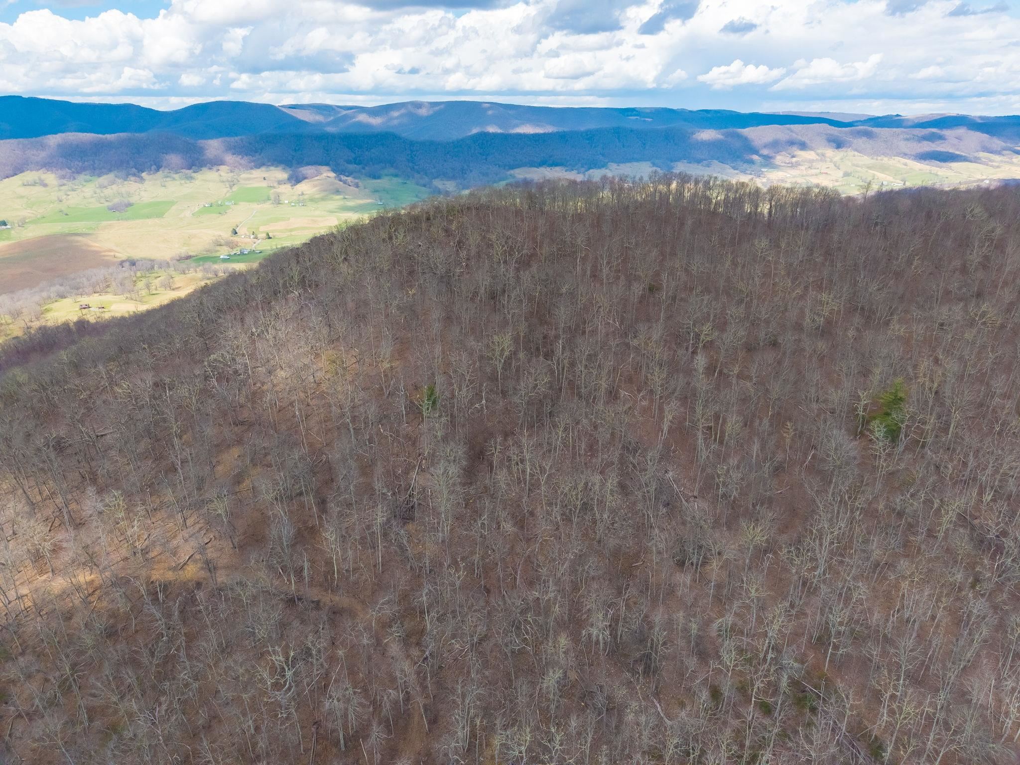 3356 Jackson River Road Monterey, VA 24465 - Photo 50 of 70