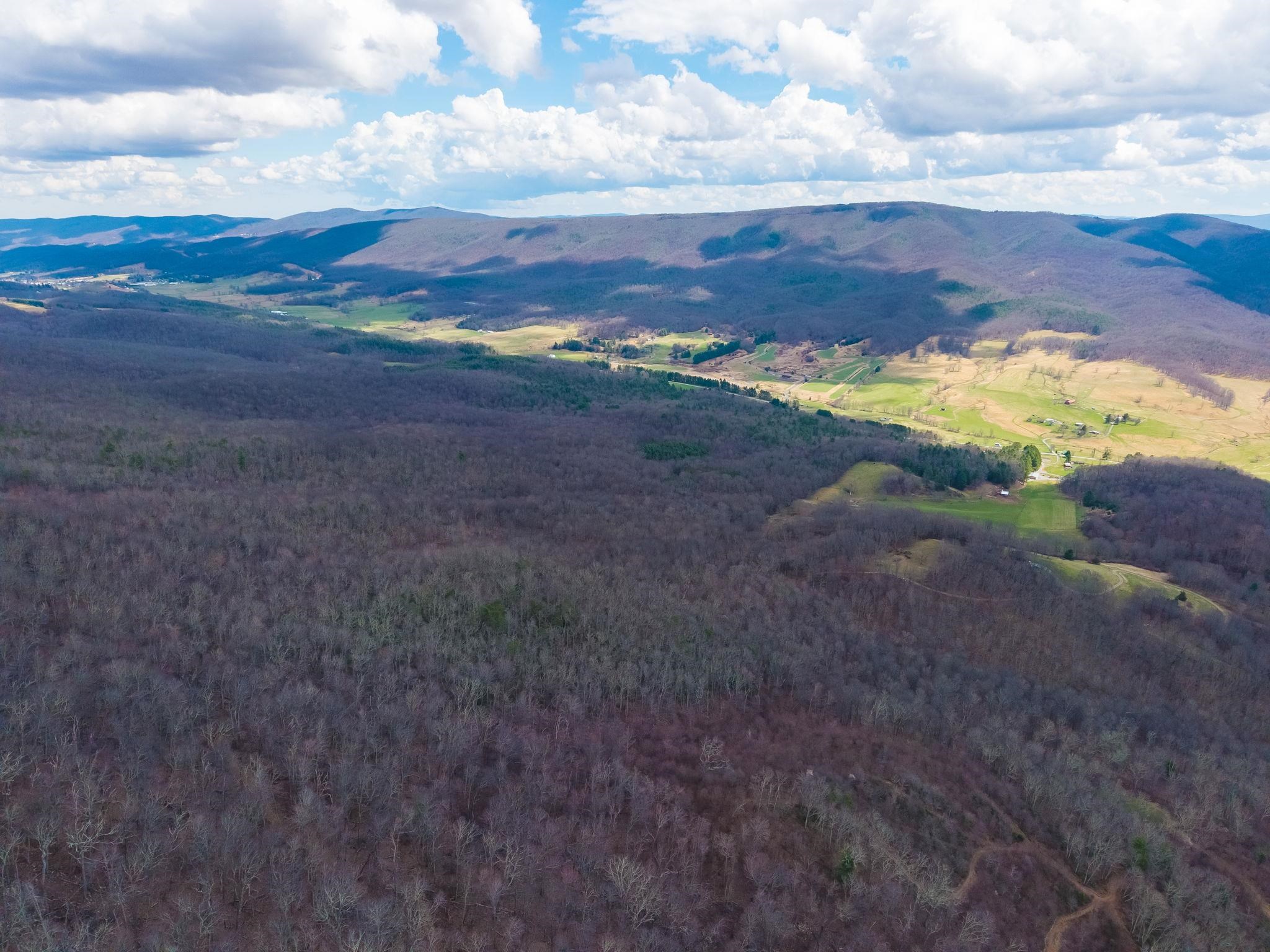 3356 Jackson River Road Monterey, VA 24465 - Photo 54 of 70