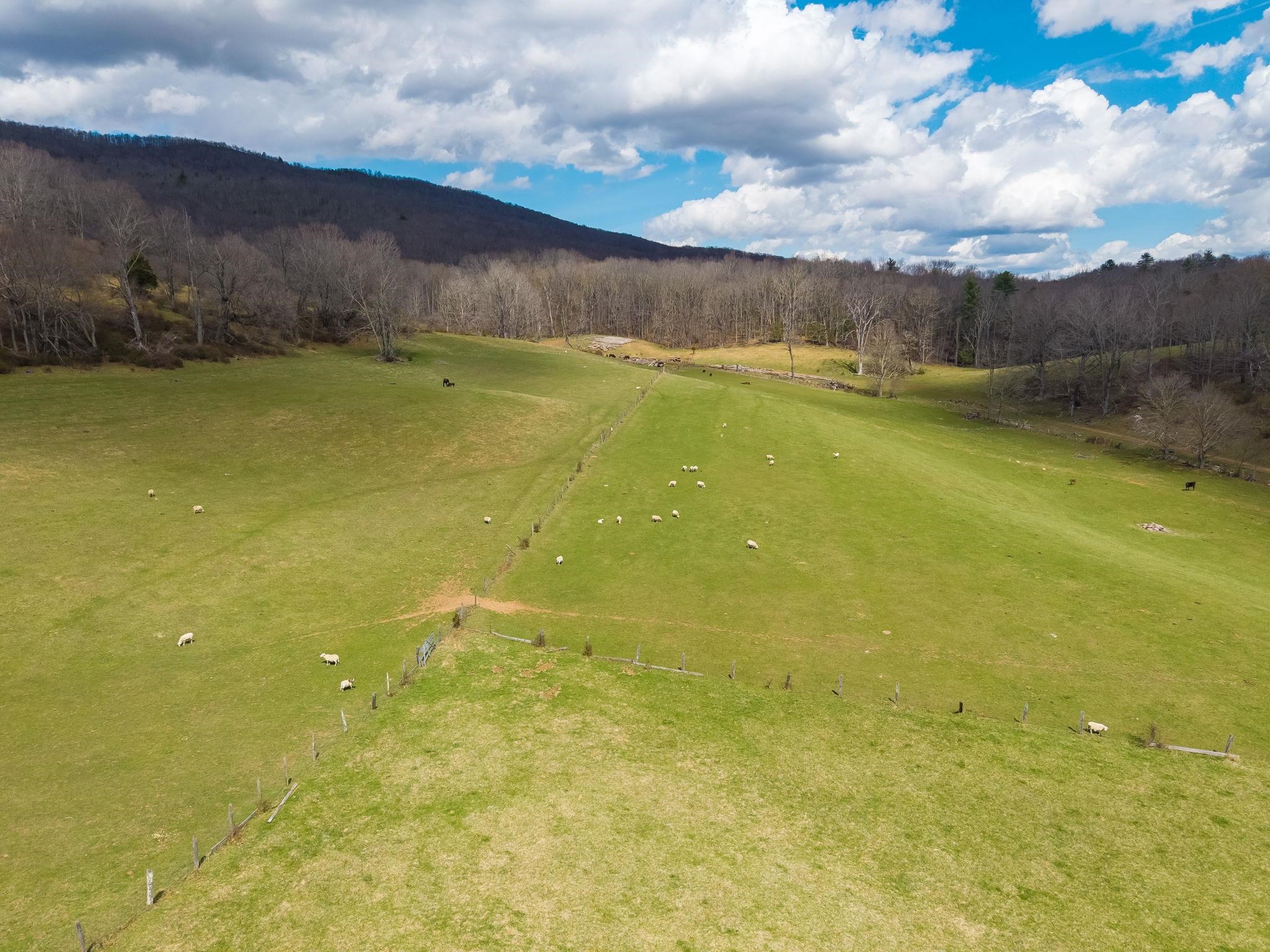 3356 Jackson River Road Monterey, VA 24465 - Photo 60 of 70