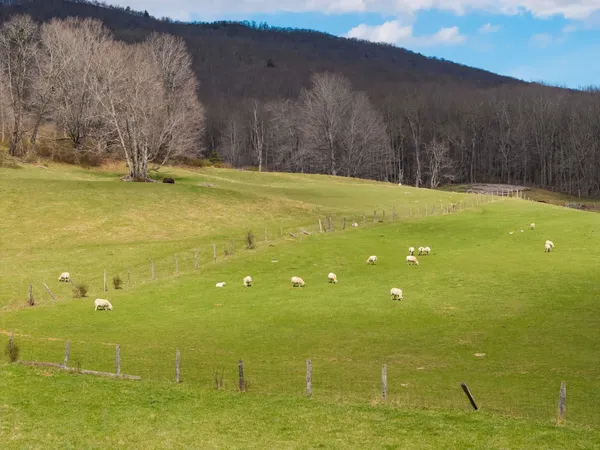 $1,199,000 | 3356 Jackson River Road, Monterey, VA 24465