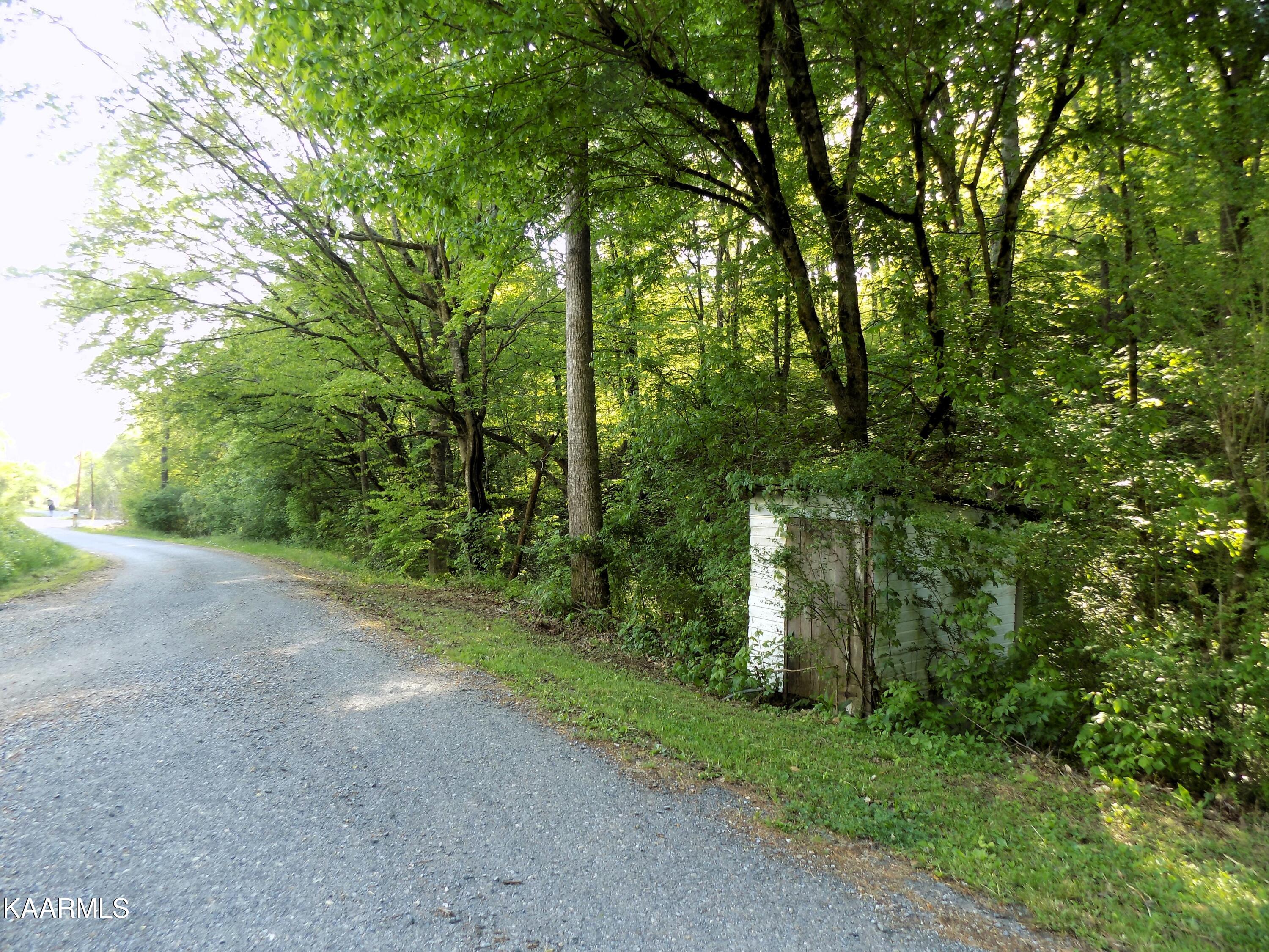 023.04 Driftwood Road Cosby, TN 37722 - Photo 5 of 5 05