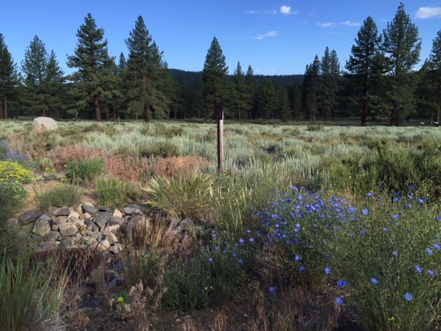 11615 Henness Road Truckee, CA 96161 - Photo 3 of 13 Gallery Image 3