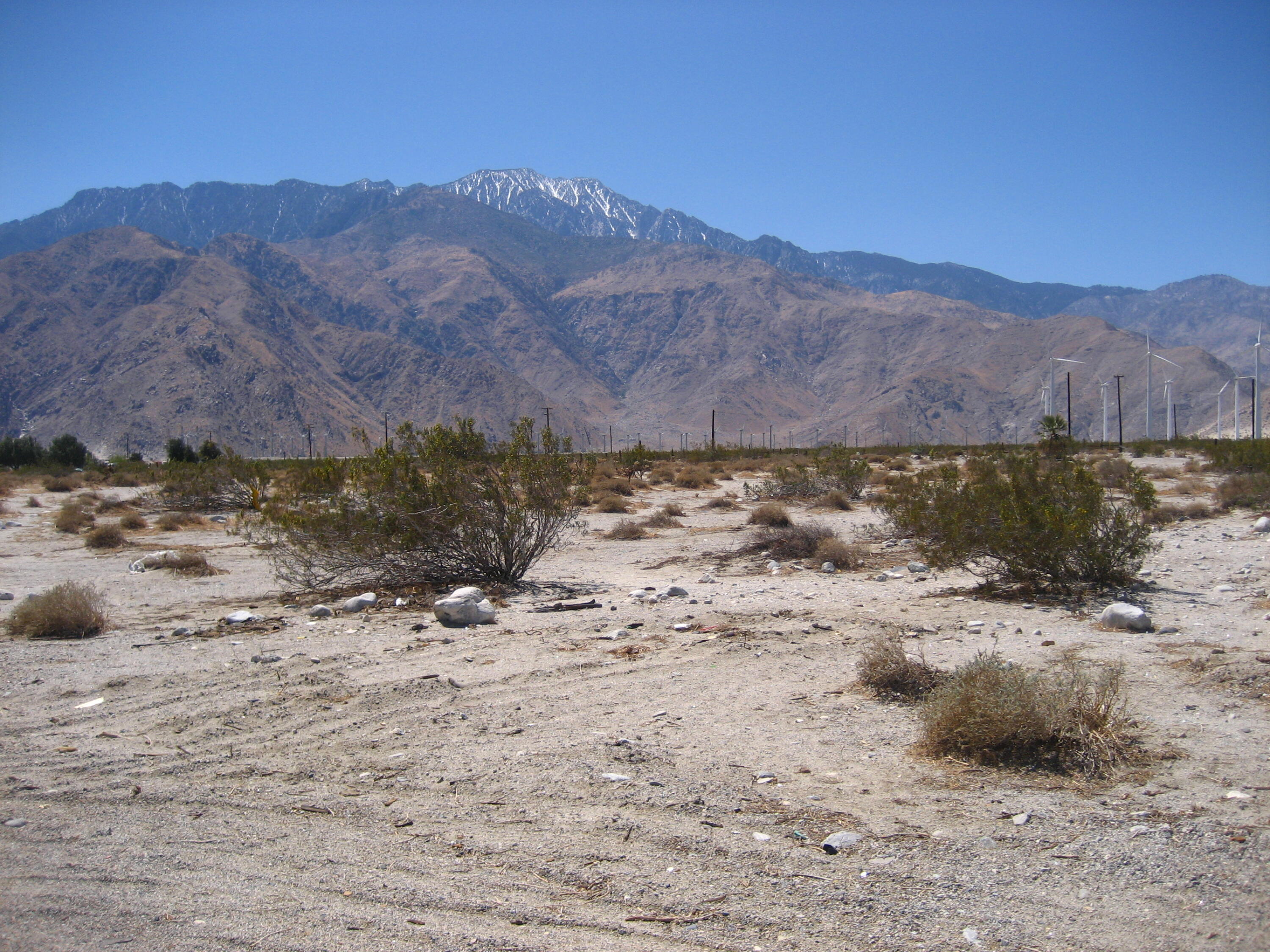 19355 Wilson Road Palm Springs, CA 92262 - Photo 15 of 19 Wilson Pics 001