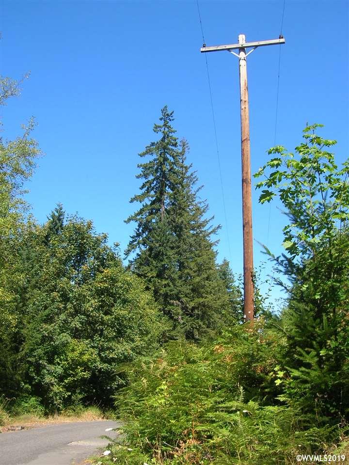 Mollenhour ( 2) Road Scappoose, OR 97056 - Photo 2 of 5