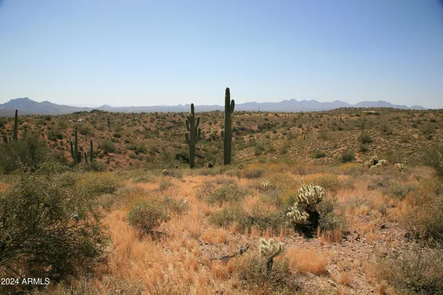 $390,000 | 13-xxx North 13-xxx N Ambush Lane, Unit 11, Fort McDowell, AZ 85264