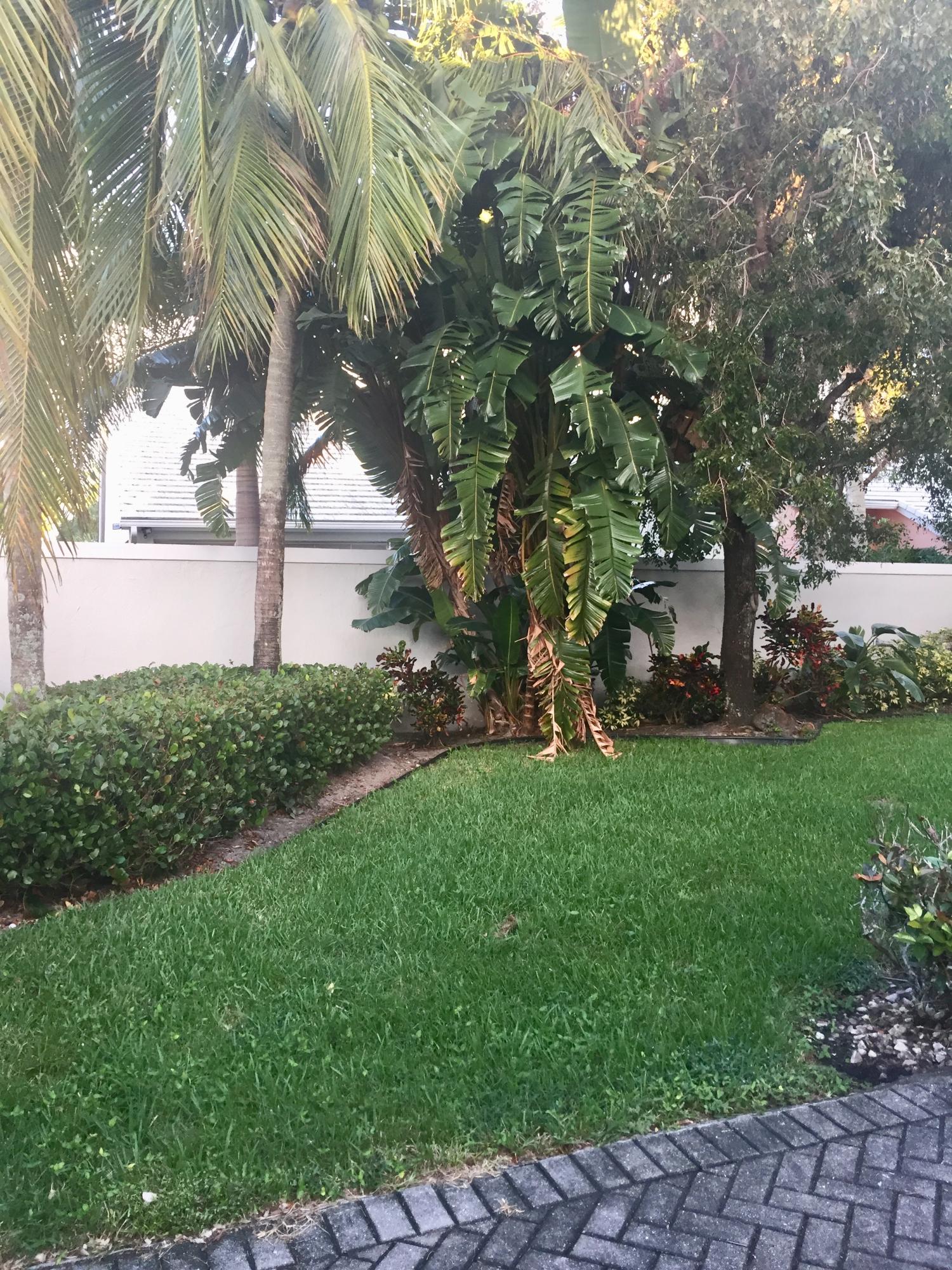 8349 Horseshoe Bay Road Boynton Beach, FL 33472 - Photo 19 of 20 a view of a park that has large trees