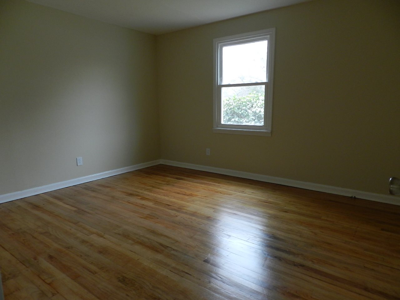 136 Anthony Street Gaffney, SC 29340 - Photo 10 of 15 Gallery Image 10