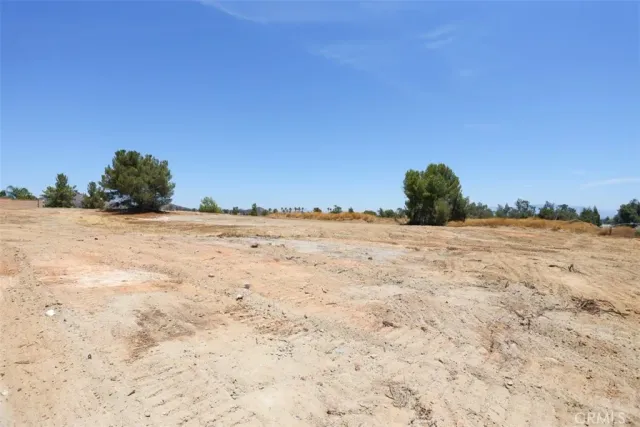 a view of a dry yard with a tree