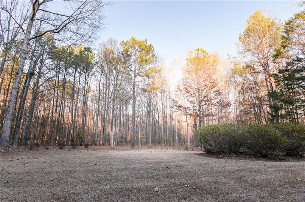 55 Glengarry Chase Covington, GA 30014 - Photo 55 of 73 a backyard of a house with lots of green space
