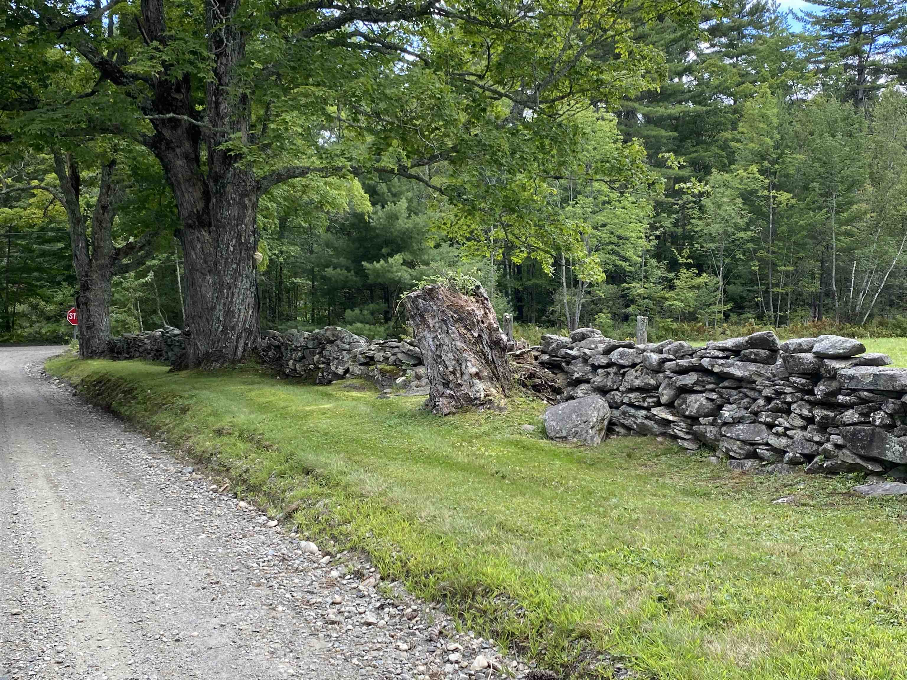 20 Finkel Road Wardsboro, VT 05355 - Photo 45 of 52