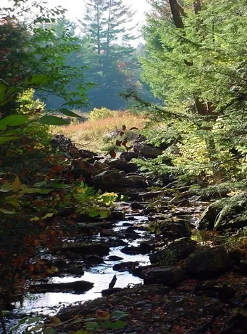 $999,000 | 20 Finkel Road, Wardsboro, VT 05355