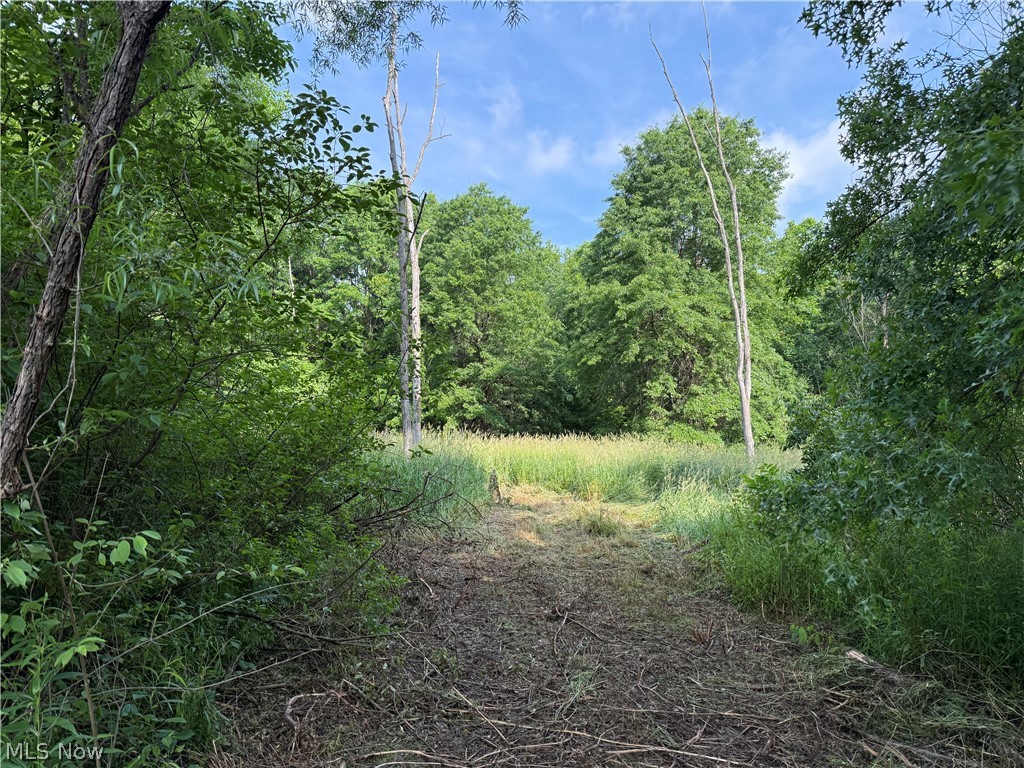 V/l Donley Road Middlefield, OH 44062 - Photo 33 of 35