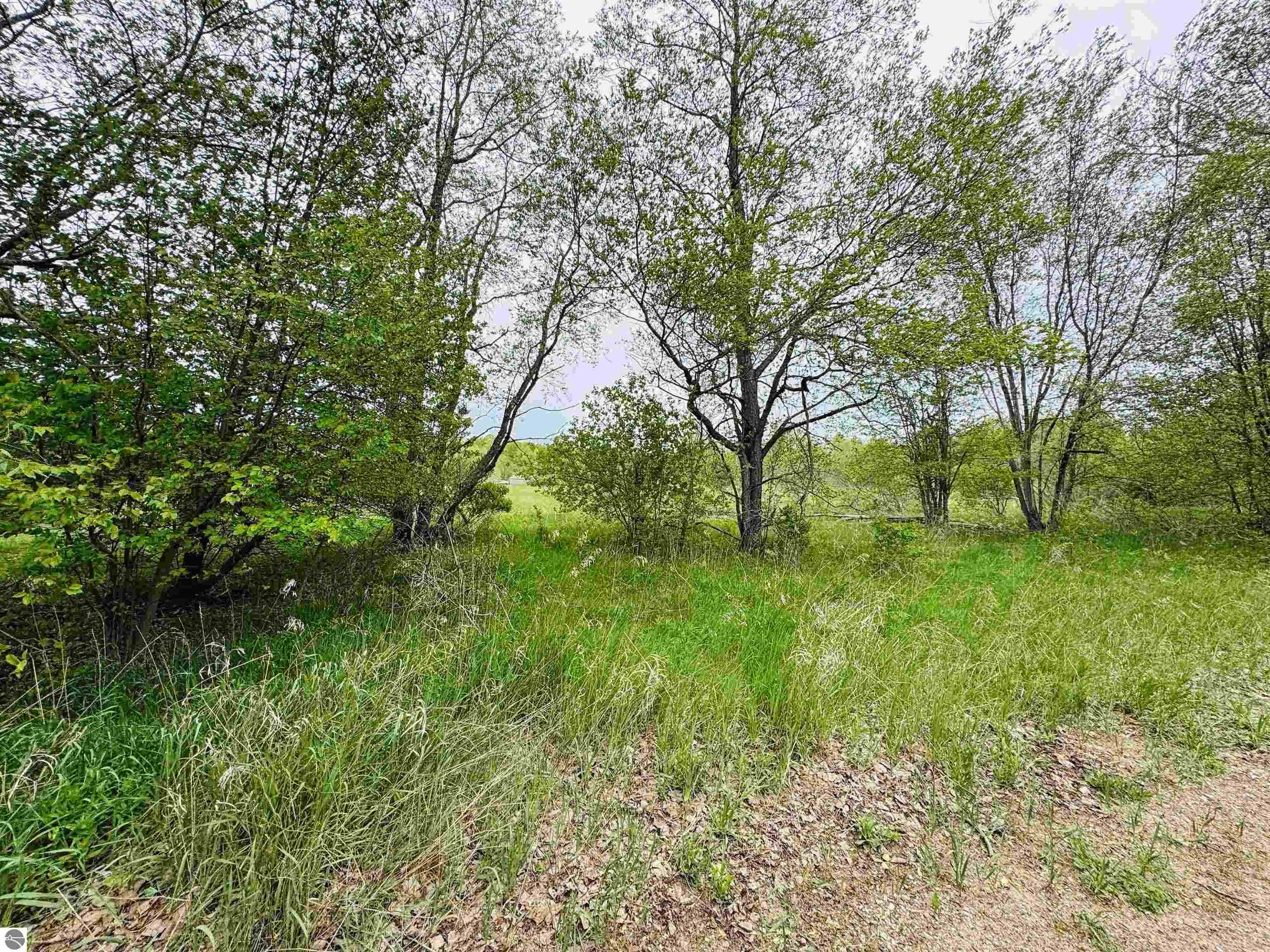 Packingham Road Manton, MI 49663 - Photo 11 of 25